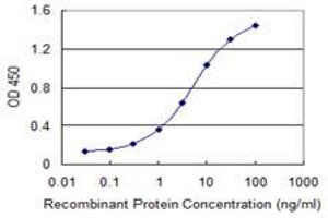 Detection limit for recombinant GST tagged DBR1 is 0. (DBR1 antibody  (AA 445-538))