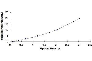 Typical standard curve (CAMKII gamma ELISA Kit)
