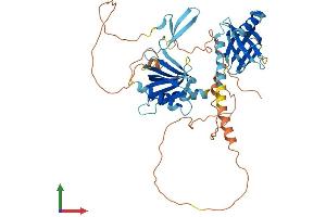 AlphaFold protein structure predicition of Mouse Recombinant Apbb3 Protein, UniprotID Q8R1C9 (APBB3 Protein (AA 1-486) (His tag))