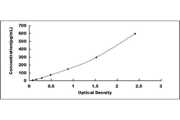 AGRP ELISA Kit