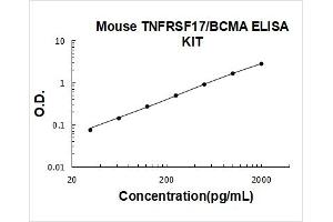 Tumor Necrosis Factor Receptor Superfamily, Member 17 (TNFRSF17) ELISA Kit