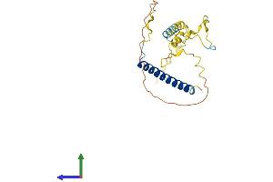 AlphaFold protein structure predicition of Human Recombinant MBD3L5 Protein, UniprotID A6NJ08 (MBD3L5 Protein (AA 1-208) (His tag))