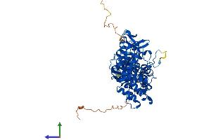 Protein Structure (PS) image for SAM Domain and HD Domain 1 (SAMHD1) (AA 1-626) protein (His tag) (ABIN7545958)
