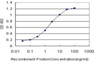 Detection limit for recombinant GST tagged CAPNS1 is approximately 0. (Calpain S1 antibody  (AA 172-260))