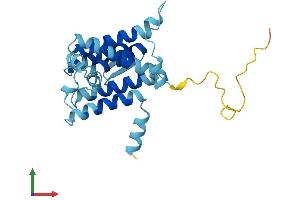 AlphaFold protein structure predicition of Human Recombinant DERL2 Protein, UniprotID Q9GZP9