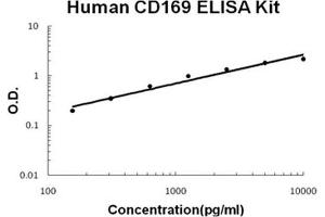 Sialoadhesin/CD169 ELISA Kit