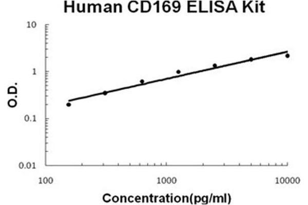 Sialoadhesin/CD169 ELISA Kit