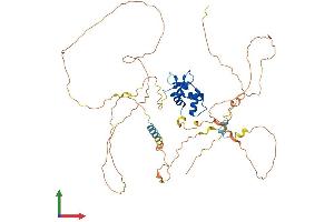 AlphaFold protein structure predicition of Mouse Recombinant Etv3 Protein, UniprotID Q8R4Z4 (ETV3 Protein (AA 1-513) (His tag))