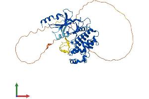 AlphaFold protein structure predicition of Human Recombinant CDK8 Protein, UniprotID P49336 (CDK8 Protein (AA 1-464) (His tag))
