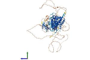 AlphaFold protein structure predicition of Mouse Recombinant Ttll3 Protein, UniprotID A4Q9E5