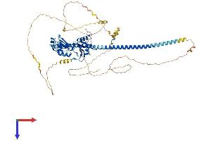 AlphaFold protein structure predicition of Mouse Recombinant Sfpq Protein, UniprotID Q8VIJ6 (SFPQ Protein (AA 1-699) (His tag))