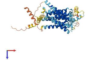 AlphaFold protein structure predicition of Mouse Recombinant Slc35a5 Protein, UniprotID Q921R7 (SLC35A5 Protein (AA 1-437) (His tag))
