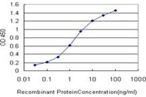 Detection limit for recombinant GST tagged BRAF is approximately 0. (BRAF antibody  (AA 346-445))