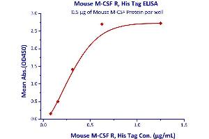 Immobilized Mouse M-CSF Protein at 5μg/mL (100 μL/well) can bind Mouse M-CSF R, His Tag  with a linear range of 0.