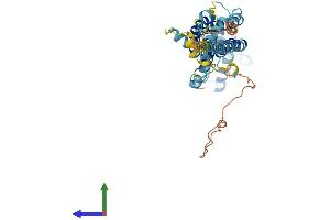 Protein Structure (PS) image for Pannexin 1 (PANX1) (AA 1-426) protein (His tag) (ABIN7550615)