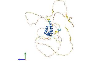 AlphaFold protein structure predicition of Human Recombinant HOXB3 Protein, UniprotID P14651