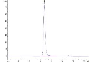 The purity of Cynomolgus CD3E/CD3 epsilon 1-27 is greater than 95 % as determined by SEC-HPLC. (CD3 epsilon Protein (CD3E) (AA 22-48) (Fc-Avi Tag))
