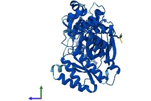 AlphaFold protein structure predicition of Mouse Recombinant Galk2 Protein, UniprotID Q68FH4
