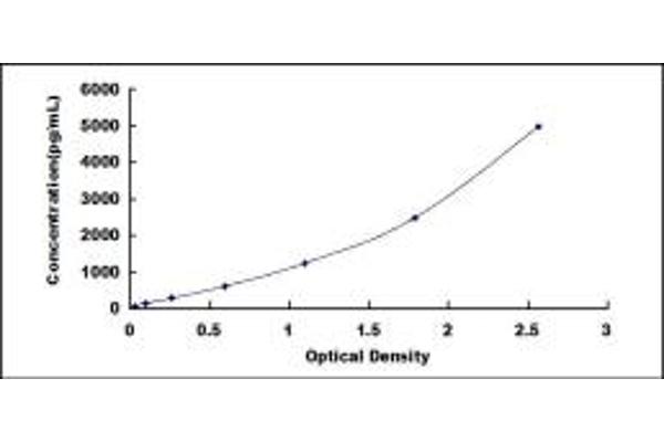 MMRN2 ELISA Kit