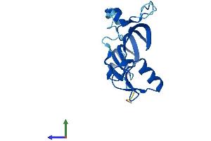 AlphaFold protein structure predicition of Human Recombinant MORN5 Protein, UniprotID Q5VZ52 (MORN5 Protein (AA 1-161) (His tag))