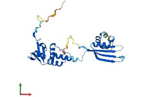 AlphaFold protein structure predicition of Human Recombinant KCTD1 Protein, UniprotID Q719H9 (KCTD1 Protein (AA 1-257) (His tag))