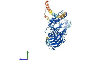 AlphaFold protein structure predicition of Mouse Recombinant Mgat4c Protein, UniprotID Q9D306