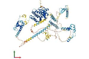 AlphaFold protein structure predicition of Mouse Recombinant Ftsj3 Protein, UniprotID Q9DBE9