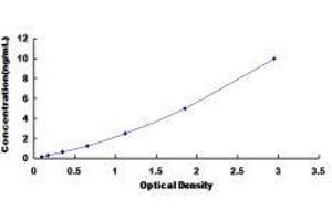 Matrix Metallopeptidase 25 (MMP25) ELISA Kit