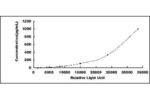 Typical standard curve (IL-33 CLIA Kit)