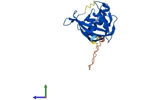Protein Structure (PS) image for Nudix (Nucleoside Diphosphate Linked Moiety X)-Type Motif 4 (NUDT4) (AA 1-179) protein (His tag) (ABIN7559708)
