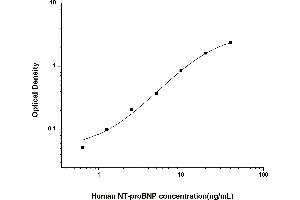 NT-ProBNP ELISA Kit