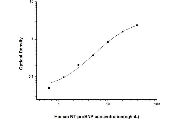 NT-ProBNP ELISA Kit