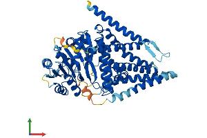 AlphaFold protein structure predicition of Mouse Recombinant Has3 Protein, UniprotID O08650