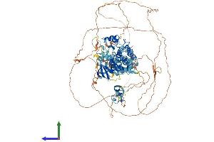 AlphaFold protein structure predicition of Human Recombinant KSR2 Protein, UniprotID Q6VAB6