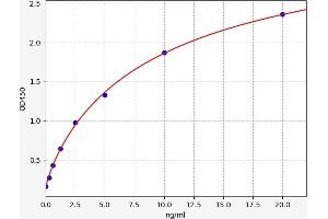 Typical standard curve (Leukotriene B4 Receptor/BLT ELISA Kit)