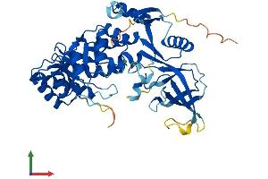 AlphaFold protein structure predicition of Human Recombinant AZIN1 Protein, UniprotID O14977