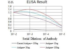 Black line: Control Antigen (100 ng), Purple line: Antigen(10 ng), Blue line: Antigen (50 ng), Red line: Antigen (100 ng), (KLF1 antibody  (AA 208-362))