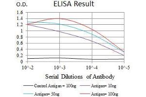 Black line: Control Antigen (100 ng), Purple line: Antigen(10 ng), Blue line: Antigen (50 ng), Red line: Antigen (100 ng), (KLF1 antibody  (AA 208-362))