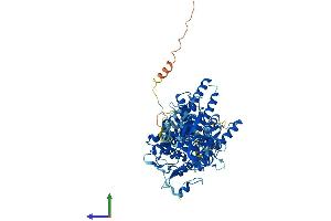 Protein Structure (PS) image for Protein-O-Mannosyltransferase 1 (POMT1) (AA 1-746) protein (His tag) (ABIN7559700)