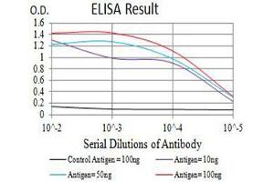 Black line: Control Antigen (100 ng),Purple line: Antigen (10 ng), Blue line: Antigen (50 ng), Red line:Antigen (100 ng) (PAR1 antibody  (AA 42-176))