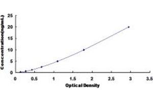 Typical standard curve (DLG3 ELISA Kit)