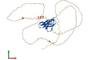 AlphaFold protein structure predicition of Human Recombinant STBD1 Protein, UniprotID O95210