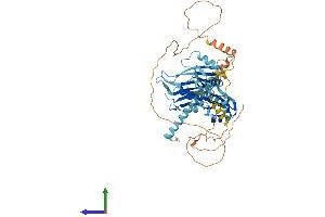 AlphaFold protein structure predicition of Human Recombinant PUF60 Protein, UniprotID Q9UHX1
