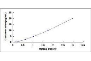 Typical standard curve (GOT1 ELISA Kit)