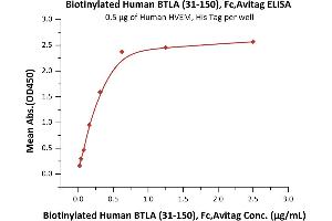 ELISA image for B and T Lymphocyte Associated (BTLA) (AA 31-150) protein (Fc Tag,AVI tag,Biotin) (ABIN5954952)