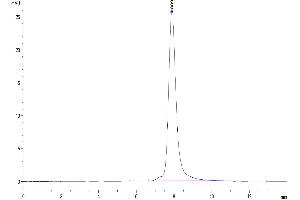 The purity of Mouse PGF is greater than 95 % as determined by SEC-HPLC. (PLGF Protein (AA 19-158) (Fc Tag))