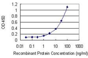 Detection limit for recombinant GST tagged SPDEF is 0. (SPDEF/PSE antibody  (AA 92-200))