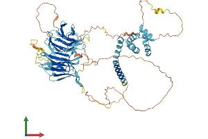 AlphaFold protein structure predicition of Human Recombinant WDR43 Protein, UniprotID Q15061