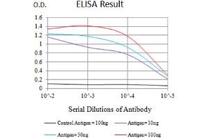 Black line: Control Antigen (100 ng),Purple line: Antigen (10 ng), Blue line: Antigen (50 ng), Red line:Antigen (100 ng) (BTLA antibody  (AA 31-157))