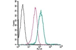 Cell surface detection of P2Y14 by direct flow cytometry in live intact human THP-1 monocytic leukemia cells: (black line) Cells. (P2RY14 antibody  (Extracellular, Loop 2) (FITC))